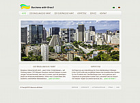 Galerie Webdesign Business with Brasil